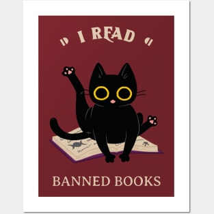 I read banned books Posters and Art